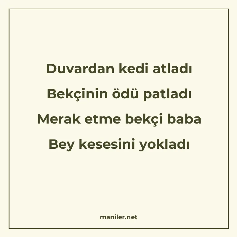 Duvardan kedi atladı Bekçinin ödü patladı Merak etme bekçi b manisi görseli