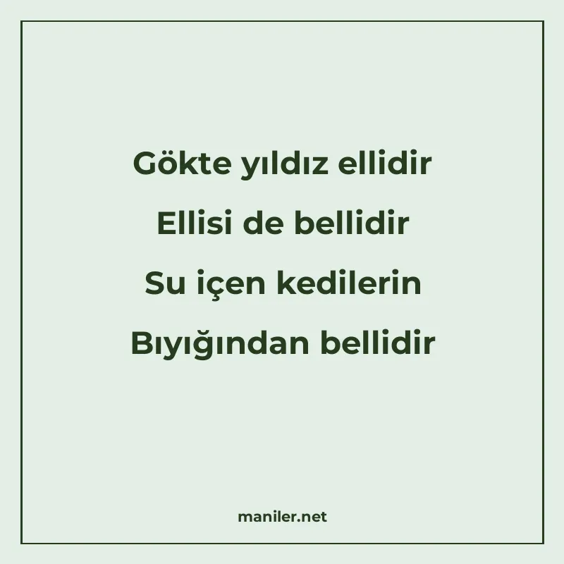 Gökte yıldız ellidir Ellisi de bellidir Su içen kedilerin Bı manisi görseli