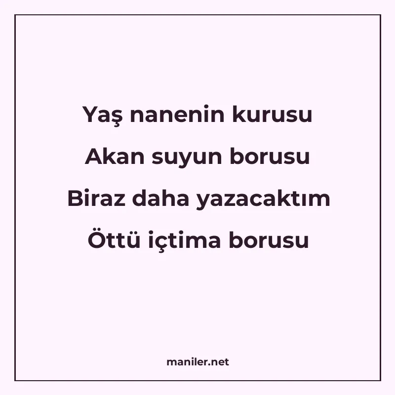 Yaş nanenin kurusu Akan suyun borusu Biraz daha yazacaktım Ö manisi görseli