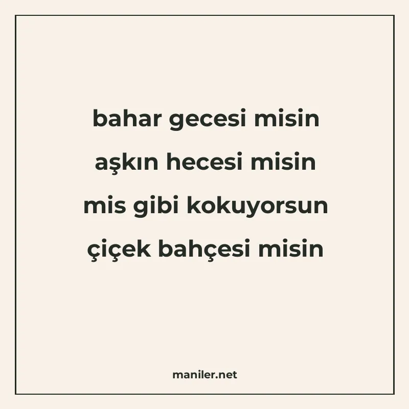 bahar gecesi misin aşkın hecesi misin mis gibi kokuyorsun çi manisi görseli