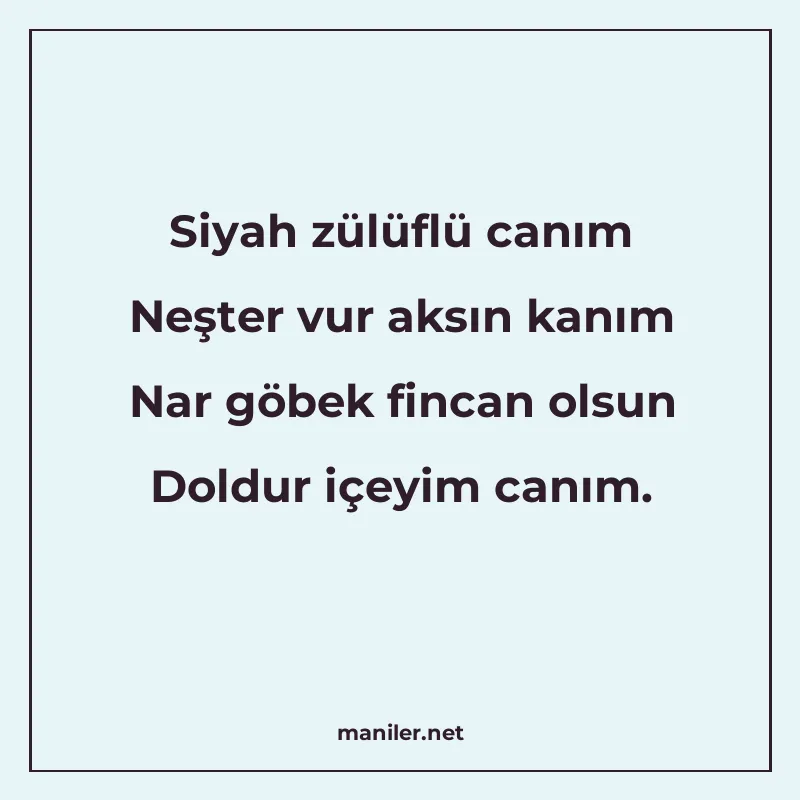 Siyah zülüflü canım Neşter vur aksın kanım Nar göbek fincan manisi görseli