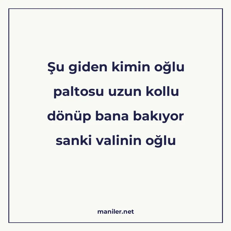 Şu giden kimin oğlu paltosu uzun kollu dönüp bana bakıyor sa manisi görseli
