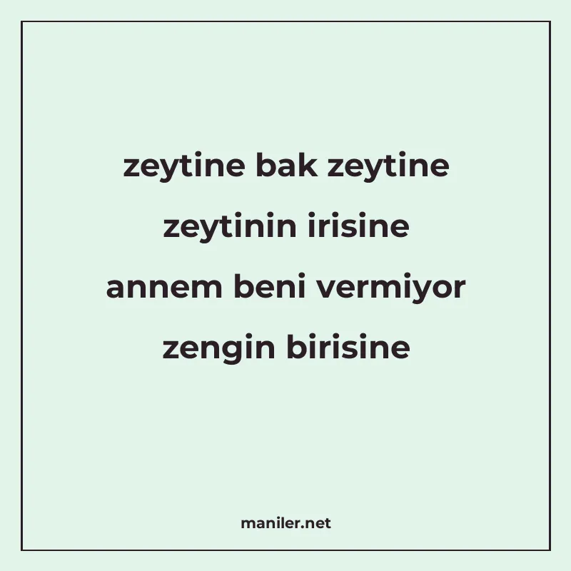 zeytine bak zeytine zeytinin irisine annem beni vermiyor zen manisi görseli