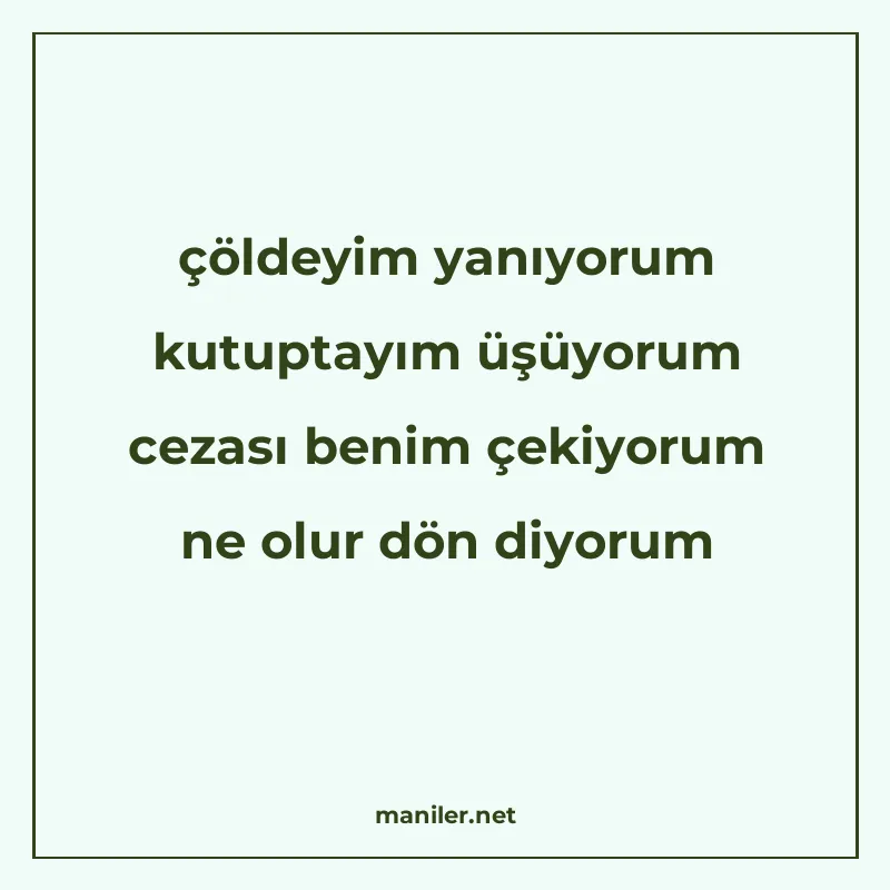 çöldeyim yanıyorum kutuptayım üşüyorum cezası benim çekiyoru manisi görseli