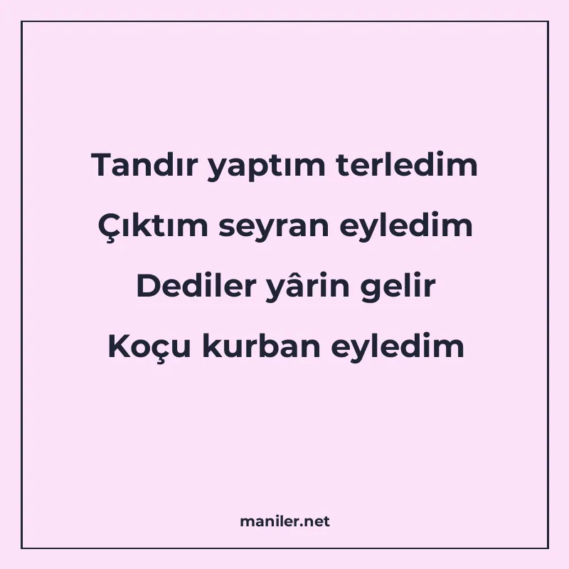 Tandır yaptım terledim Çıktım seyran eyledim Dediler yârin g manisi görseli