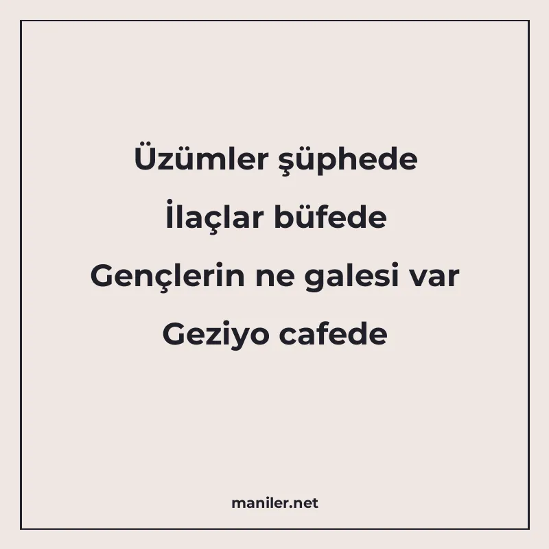 Üzümler şüphede İlaçlar büfede Gençlerin ne galesi var Geziy manisi görseli