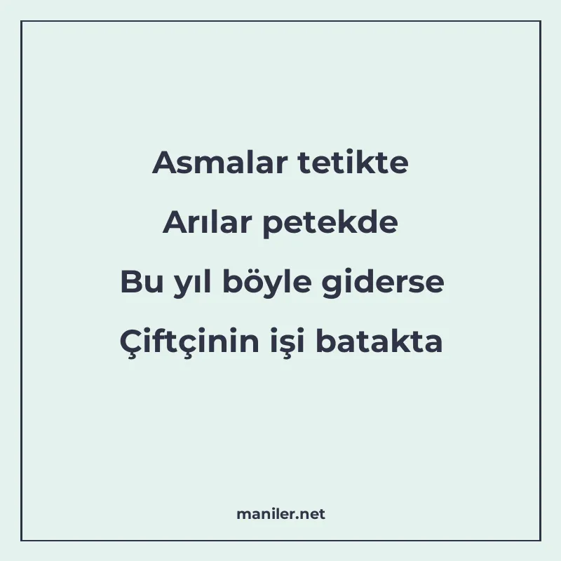 Asmalar tetikte Arılar petekde Bu yıl böyle giderse Çiftçini manisi görseli