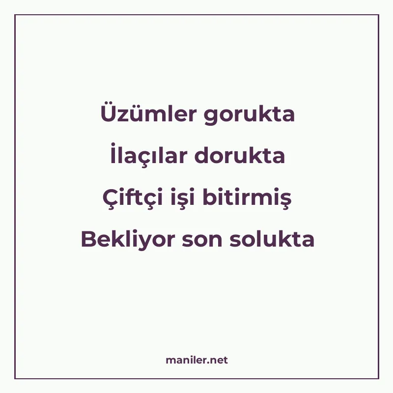 Üzümler gorukta İlaçılar dorukta Çiftçi işi bitirmiş Bekliyo manisi görseli