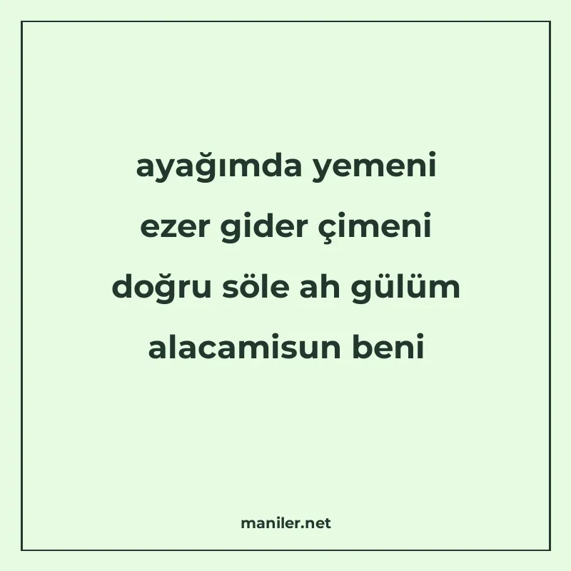 ayağımda yemeni ezer gider çimeni doğru söle ah gülüm alacam manisi görseli