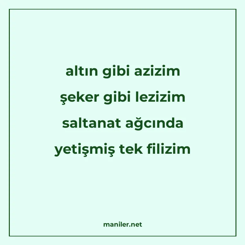 altın gibi azizim şeker gibi lezizim saltanat ağcında yetişm manisi görseli
