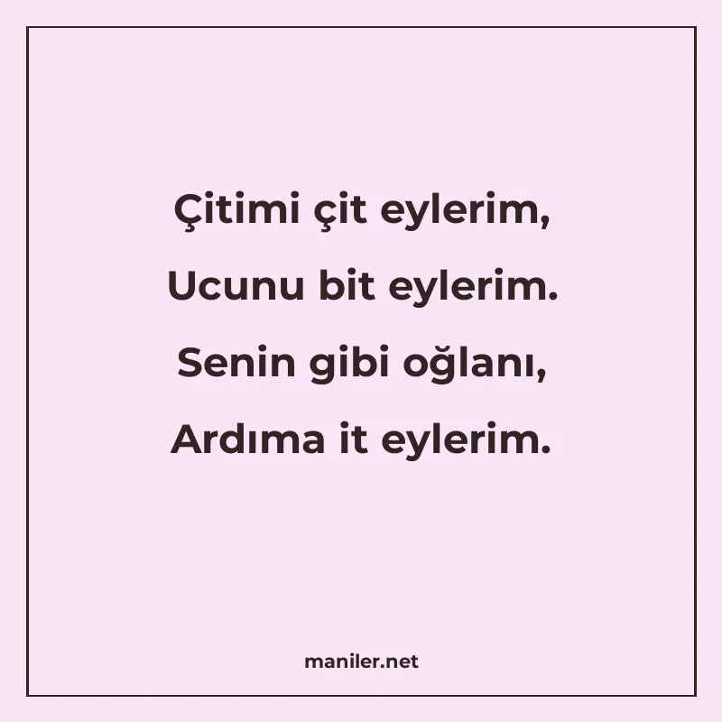 Çitimi çit eylerim, Ucunu bit eylerim. Senin gibi oğlanı, Ar manisi görseli