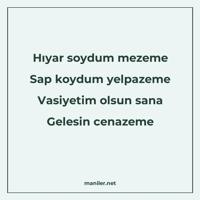 Hıyar soydum mezeme Sap koydum yelpazeme Vasiyetim olsun san manisi görseli