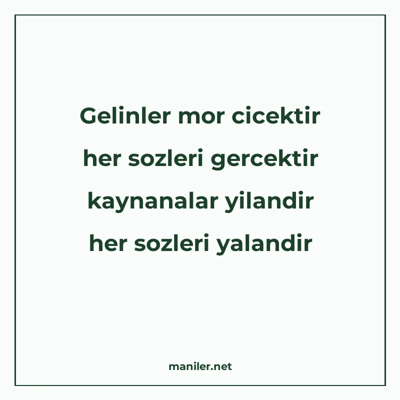 Gelinler mor cicektir her sozleri gercektir kaynanalar yilan manisi görseli