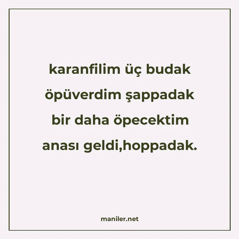 karanfilim üç budak öpüverdim şappadak bir daha öpecektim an manisi görseli