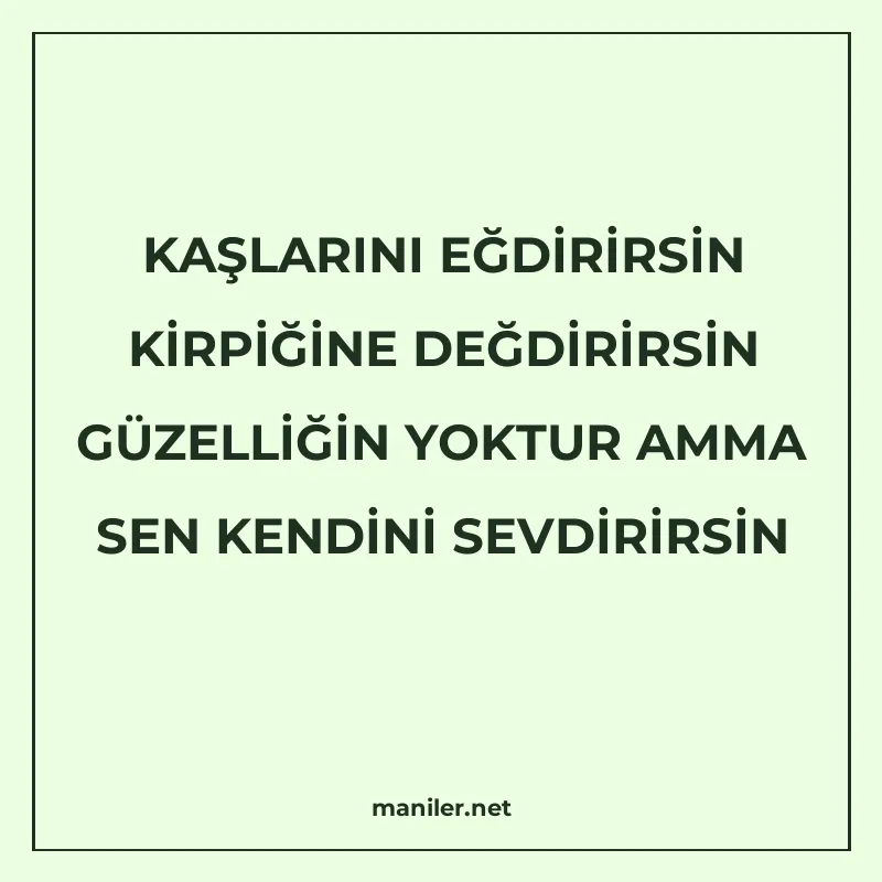 KAŞLARINI EĞDİRİRSİN KİRPİĞİNE DEĞDİRİRSİN GÜZELLİĞİN YOKTUR manisi görseli