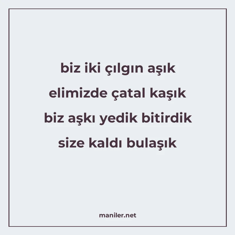 biz iki çılgın aşık elimizde çatal kaşık biz aşkı yedik biti manisi görseli
