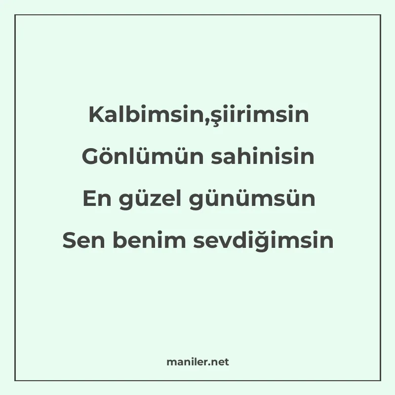 Kalbimsin,şiirimsin Gönlümün sahinisin En güzel günümsün Sen manisi görseli