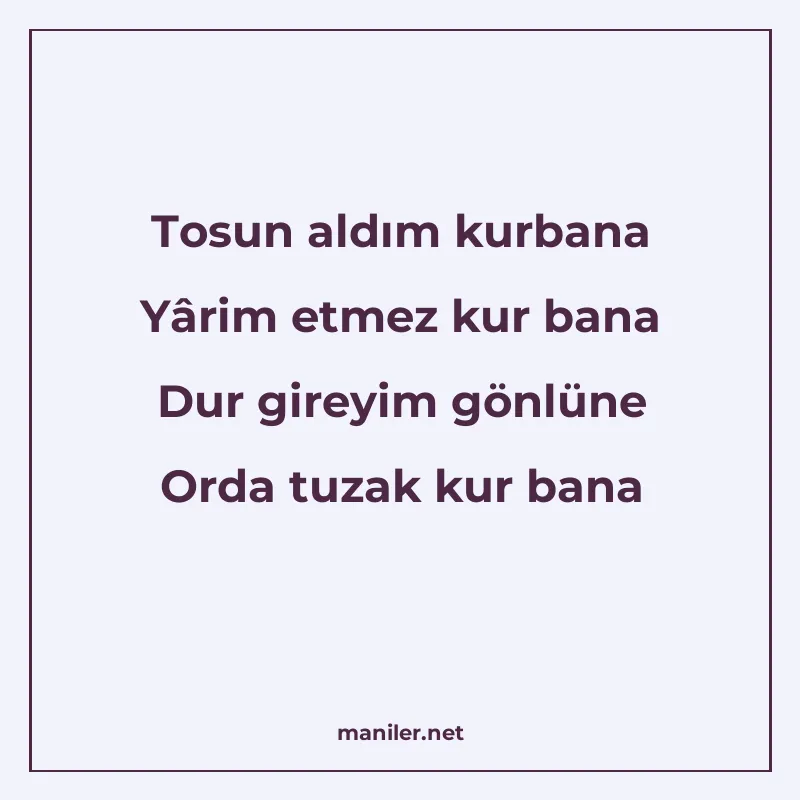Tosun aldım kurbana Yârim etmez kur bana Dur gireyim gönlüne manisi görseli