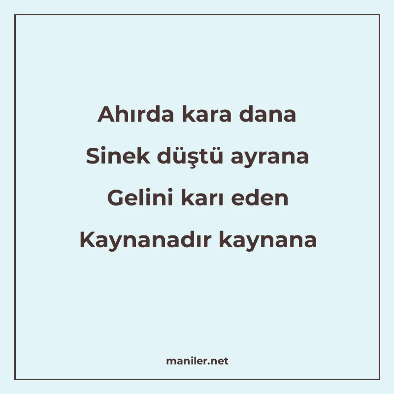 Ahırda kara dana Sinek düştü ayrana Gelini karı eden Kaynana manisi görseli