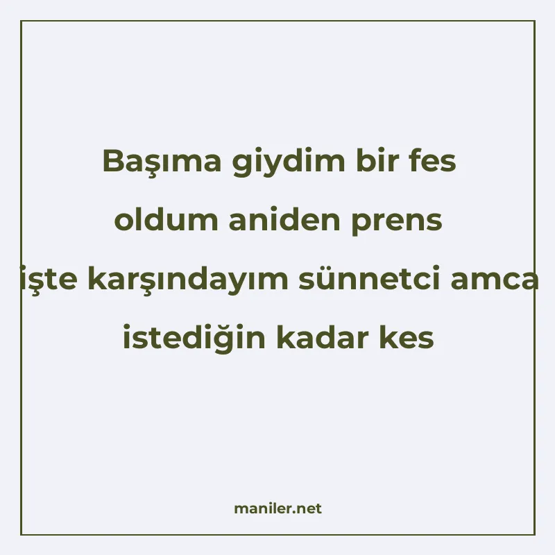 Başıma giydim bir fes oldum aniden prens işte karşındayım sü manisi görseli