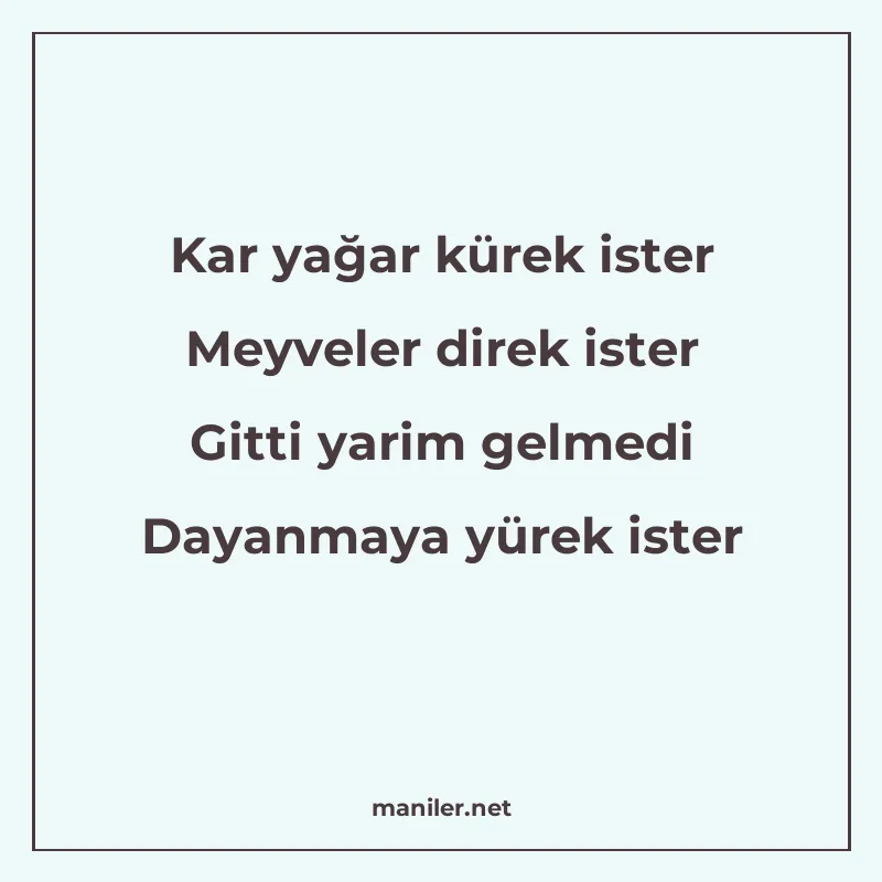 Kar yağar kürek ister Meyveler direk ister Gitti yarim gelme manisi görseli