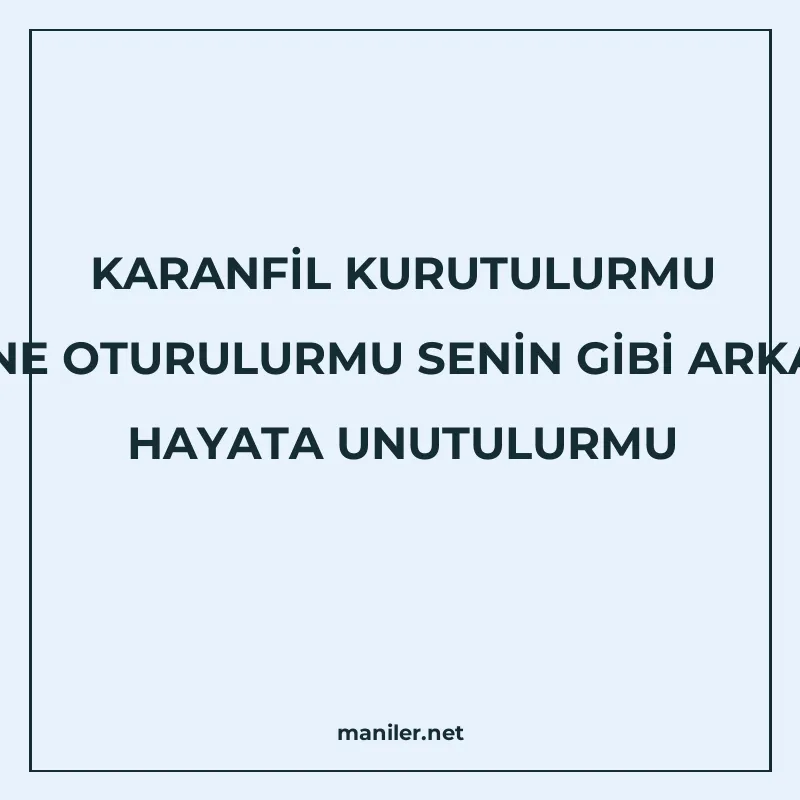 KARANFİL KURUTULURMU DİBİNE OTURULURMU SENİN GİBİ ARKADAŞ HA