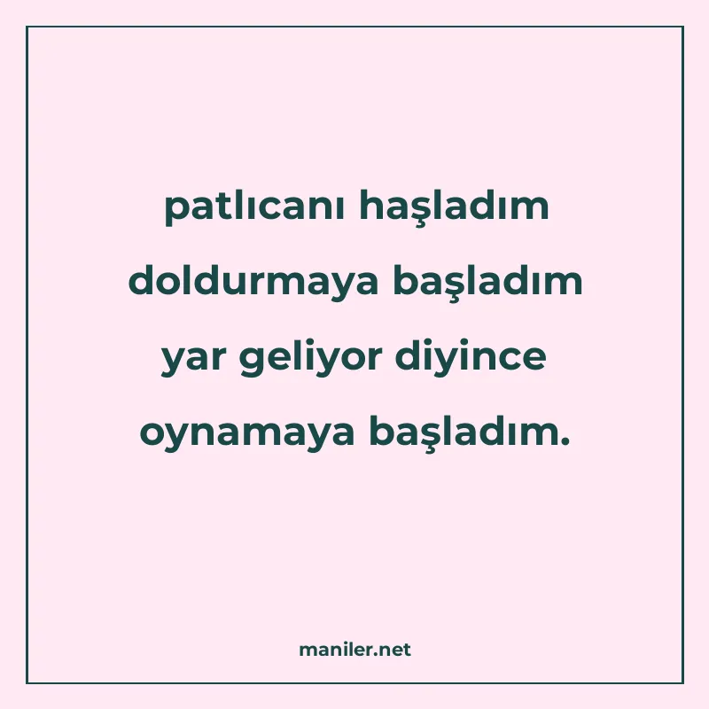 patlıcanı haşladım doldurmaya başladım yar geliyor diyince o manisi görseli