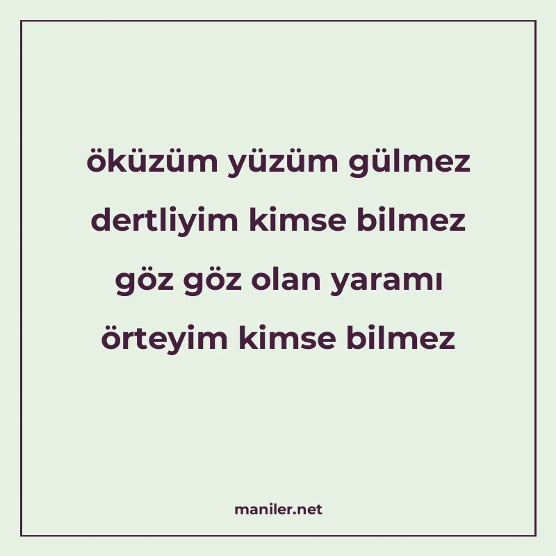 öküzüm yüzüm gülmez dertliyim kimse bilmez göz göz olan yara manisi görseli