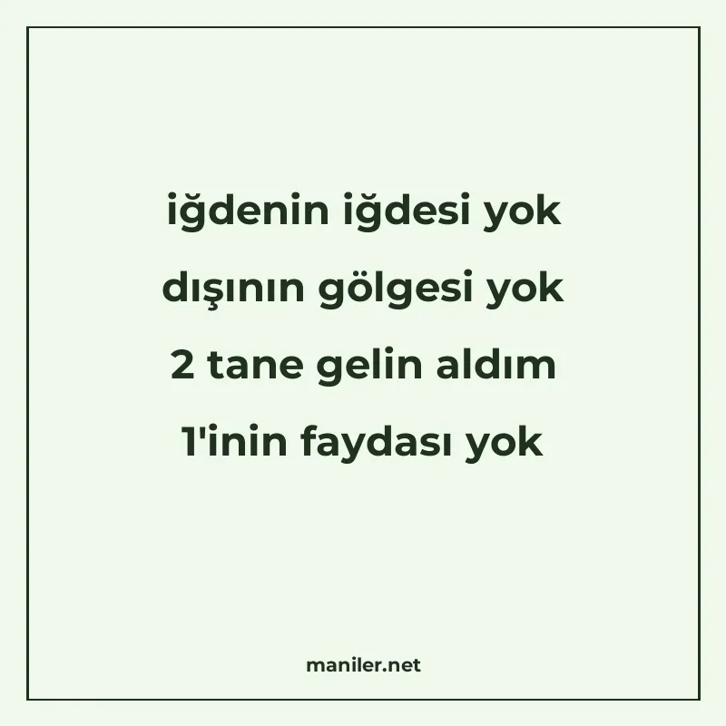 iğdenin iğdesi yok dışının gölgesi yok 2 tane gelin aldım 1' manisi görseli