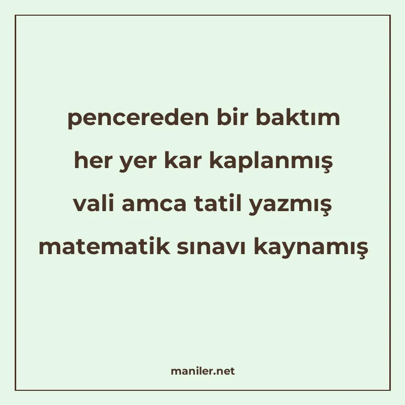 pencereden bir baktım her yer kar kaplanmış vali amca tatil manisi görseli