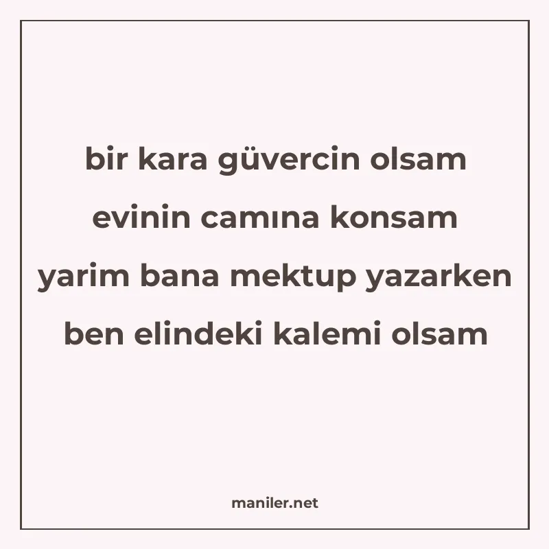 bir kara güvercin olsam evinin camına konsam yarim bana mekt manisi görseli