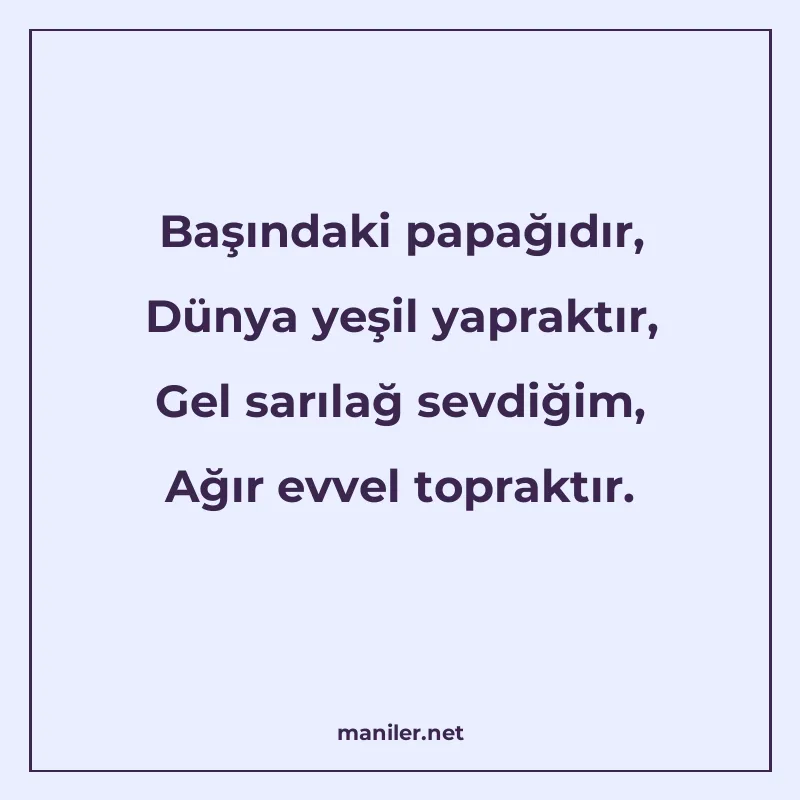 Başındaki papağıdır, Dünya yeşil yapraktır, Gel sarılağ sevd manisi görseli