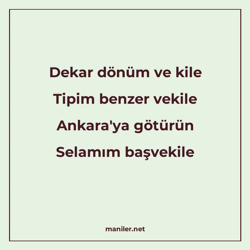 Dekar dönüm ve kile Tipim benzer vekile Ankara'ya götür manisi görseli