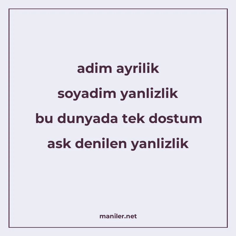 adim ayrilik soyadim yanlizlik bu dunyada tek dostum ask den manisi görseli
