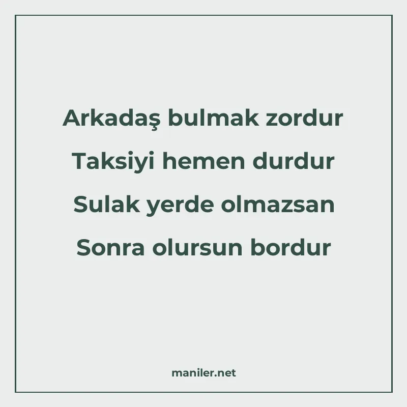 Arkadaş bulmak zordur Taksiyi hemen durdur Sulak yerde olmaz manisi görseli