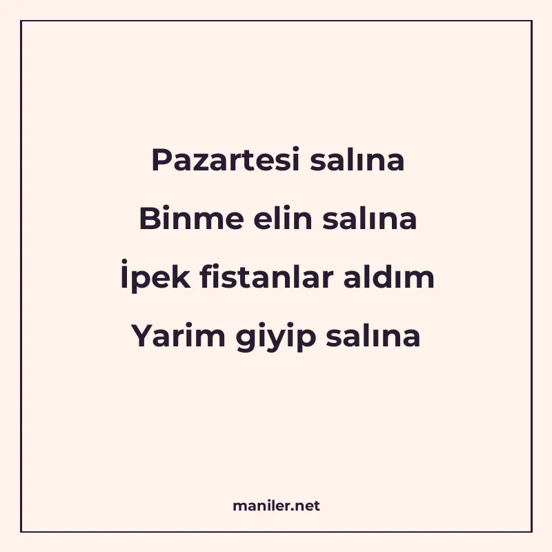 Pazartesi salına Binme elin salına İpek fistanlar aldım Yari manisi görseli