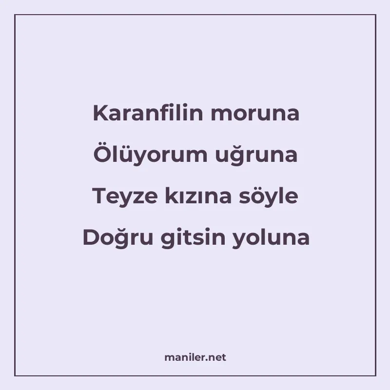 Karanfilin moruna Ölüyorum uğruna Teyze kızına söyle Doğru g manisi görseli