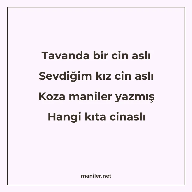Tavanda bir cin aslı Sevdiğim kız cin aslı Koza maniler yazm manisi görseli