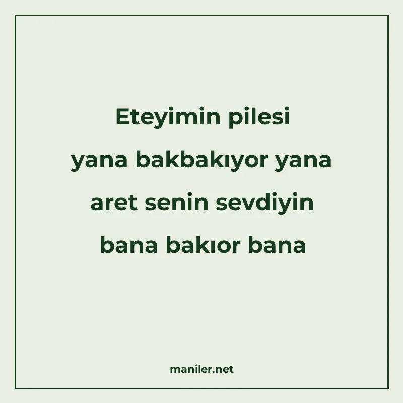 Eteyimin pilesi yana bakbakıyor yana aret senin sevdiyin ban manisi görseli