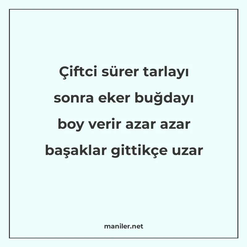 Çiftci sürer tarlayı sonra eker buğdayı boy verir azar azar manisi görseli