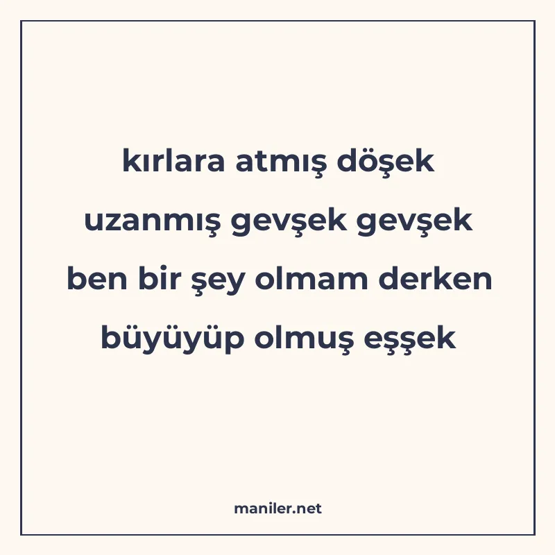 kırlara atmış döşek uzanmış gevşek gevşek ben bir şey olmam manisi görseli