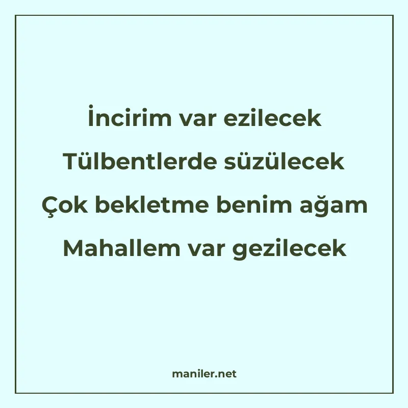 İncirim var ezilecek Tülbentlerde süzülecek Çok bekletme ben manisi görseli