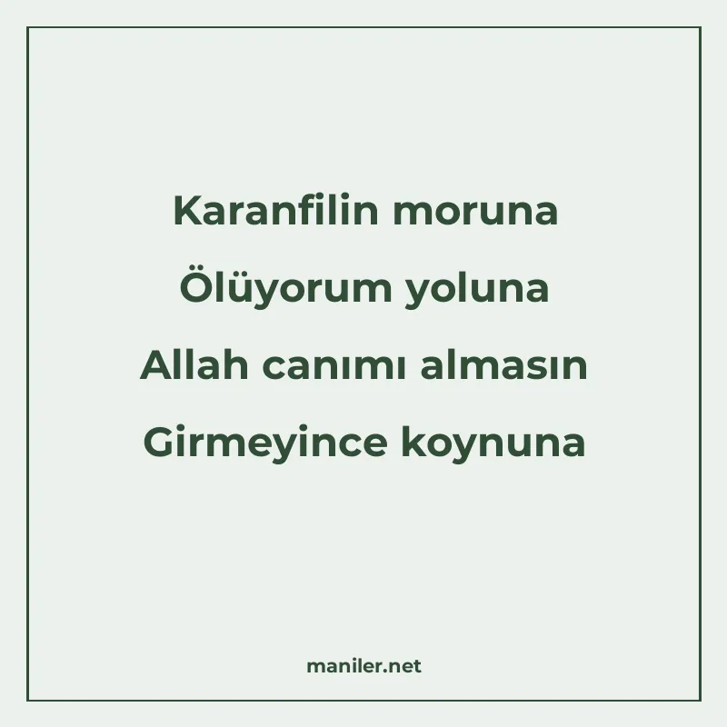 Karanfilin moruna Ölüyorum yoluna Allah canımı almasın Girme manisi görseli