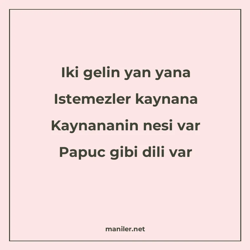 Iki gelin yan yana Istemezler kaynana Kaynananin nesi var Pa manisi görseli