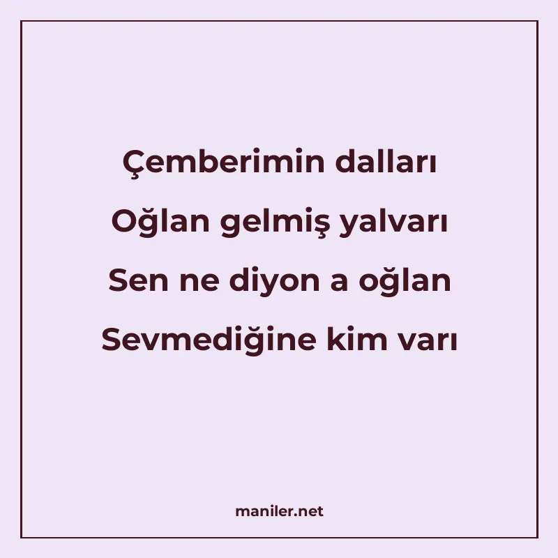 Çemberimin dalları Oğlan gelmiş yalvarı Sen ne diyon a oğlan manisi görseli