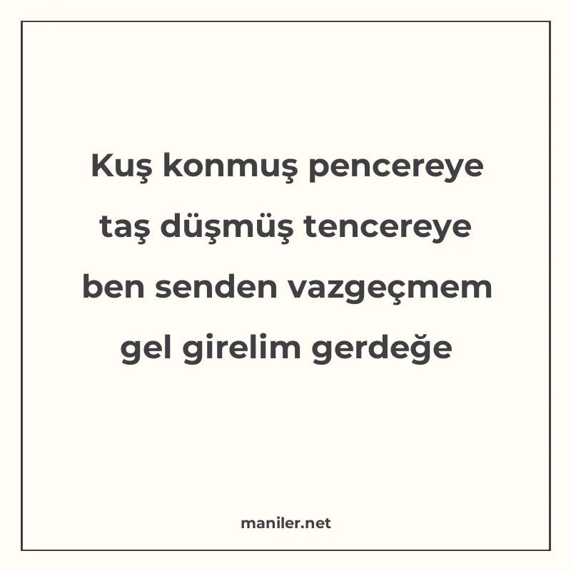 Kuş konmuş pencereye taş düşmüş tencereye ben senden vazgeçm manisi görseli