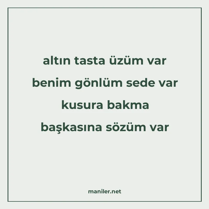 altın tasta üzüm var benim gönlüm sede var kusura bakma başk manisi görseli