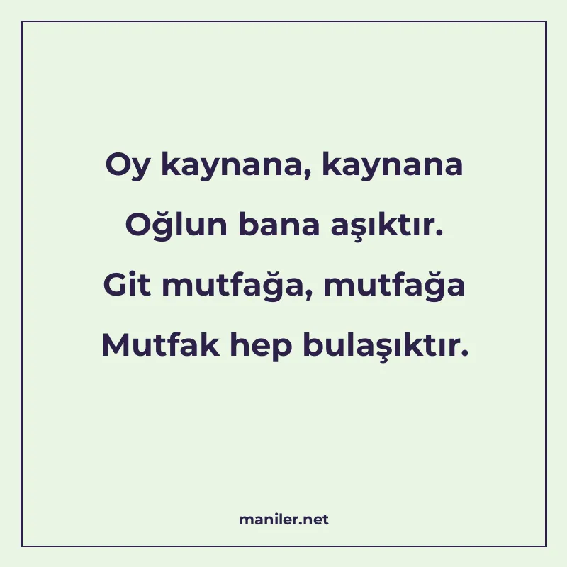 Oy kaynana, kaynana Oğlun bana aşıktır. Git mutfağa, mutfağa manisi görseli