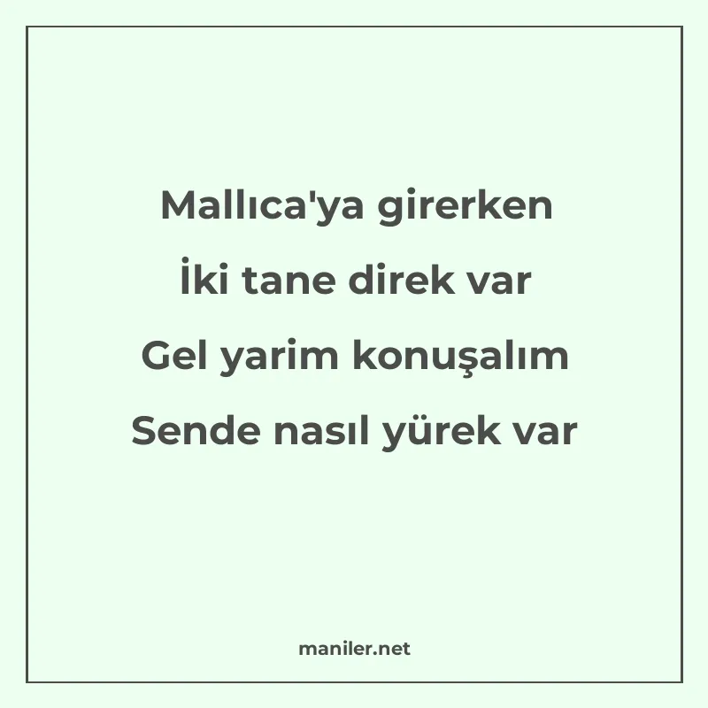 Mallıca'ya girerken İki tane direk var Gel yarim konuşalım S manisi görseli