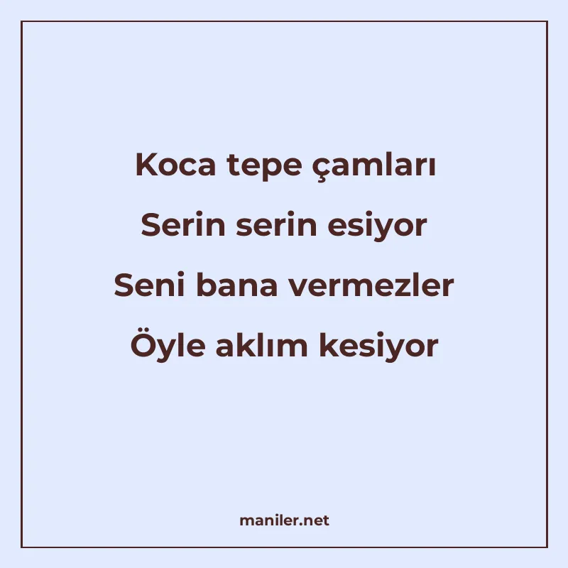 Koca tepe çamları Serin serin esiyor Seni bana vermezler Öyl manisi görseli